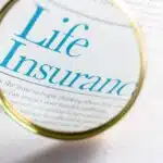 combien rapporte une assurance vie 1