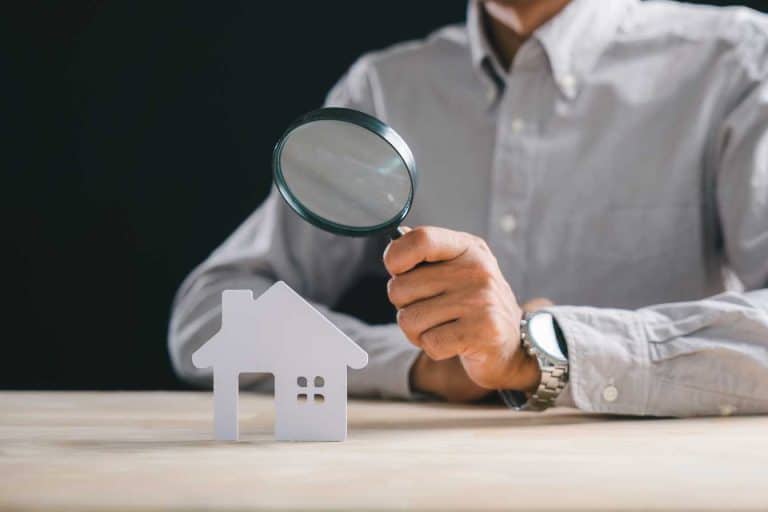 expert en piece de monnaie 1